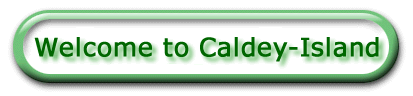 Welcome to Caldey Island